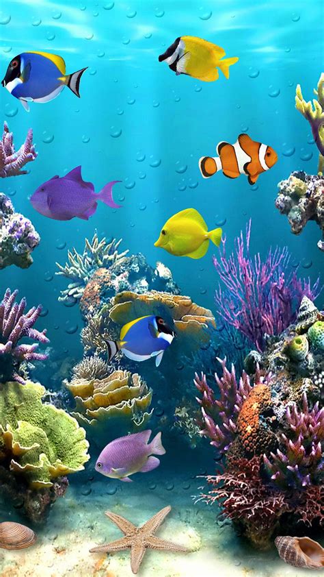 fish background|Fish Wallpapers: Free HD Download [500+ HQ] .